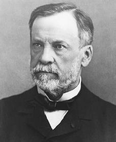 pasteur