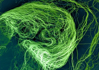 nanofibres3