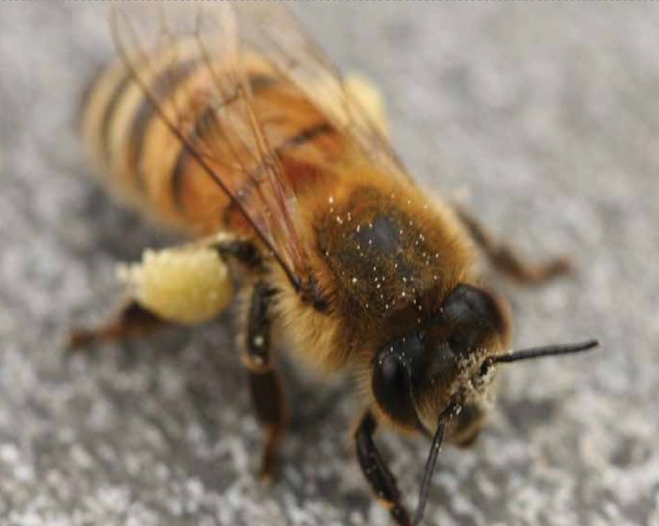 innovationresponsable2