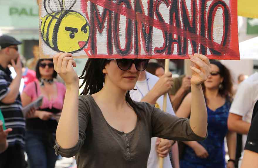 Monsanto Court