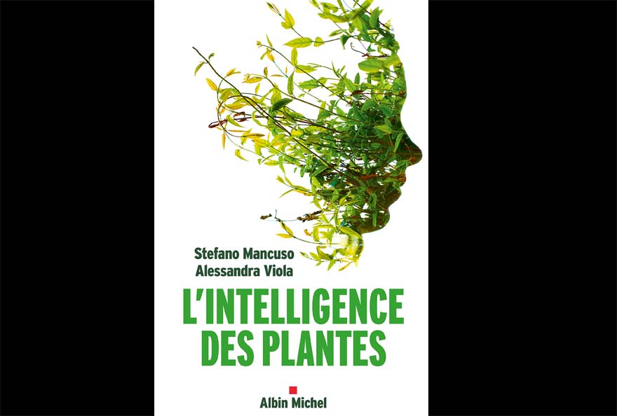 plant intelligence