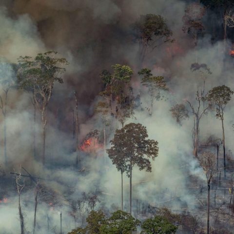 Incendie Amazonie
