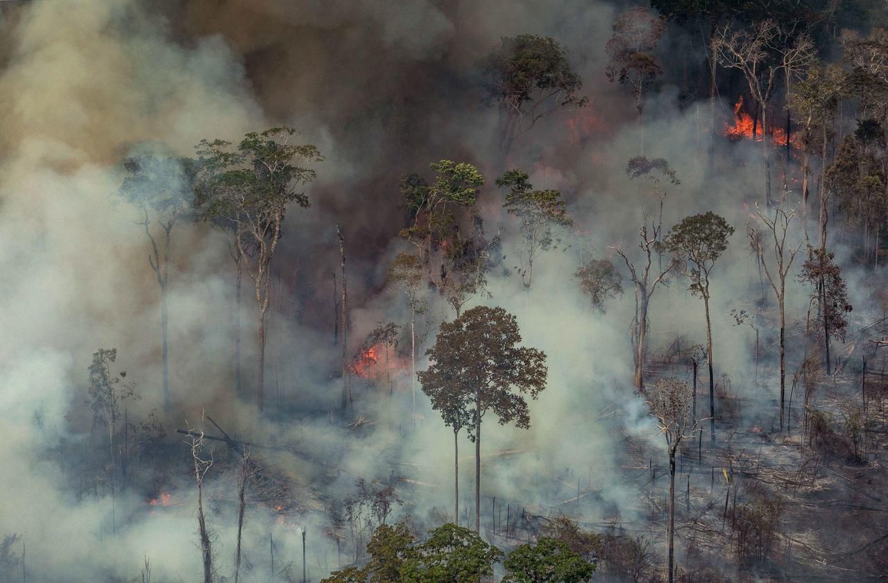 Incendie Amazonie