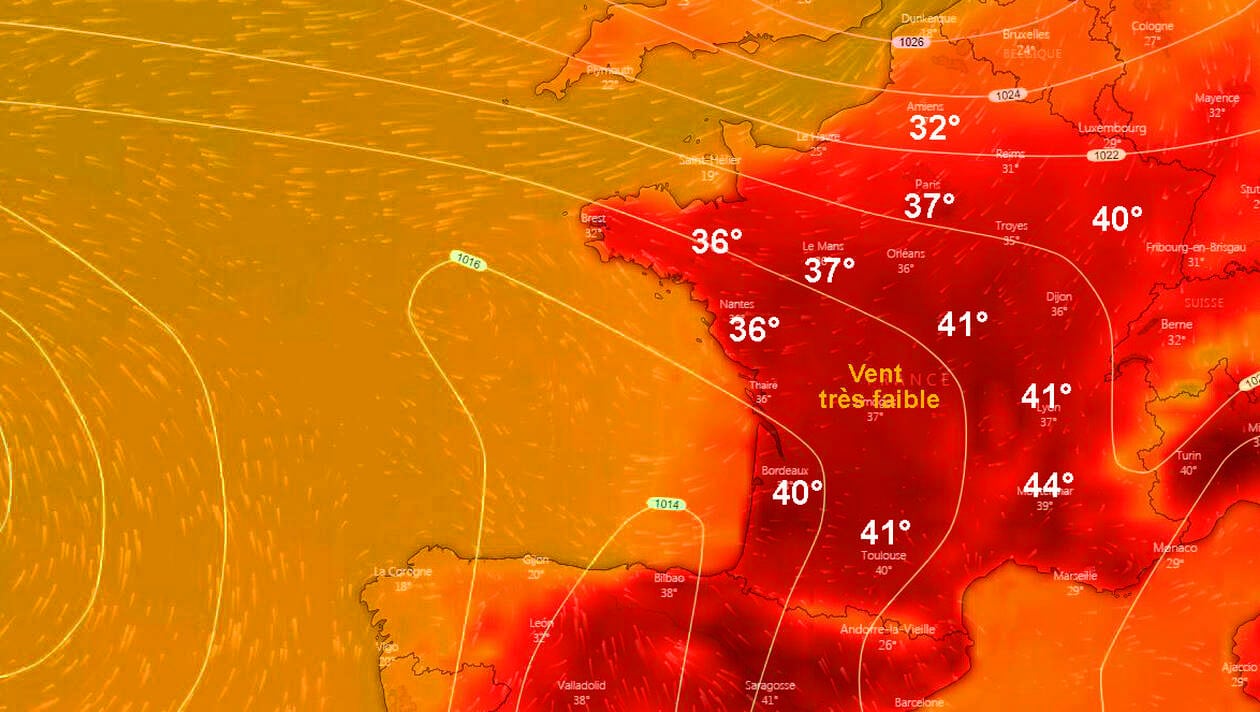 Heat wave + pandemic: UN warns of public health risks this summer