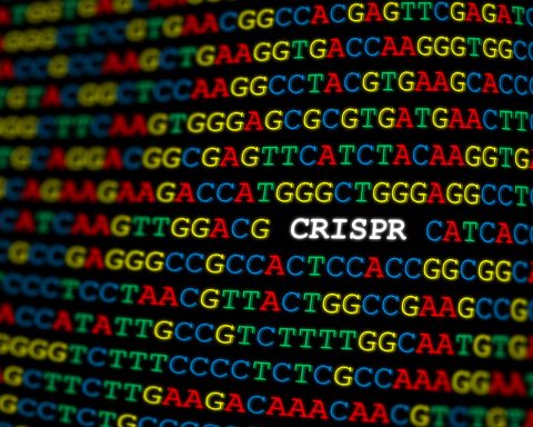 German Green MEPs promote CRISPR and genetic engineering in agriculture