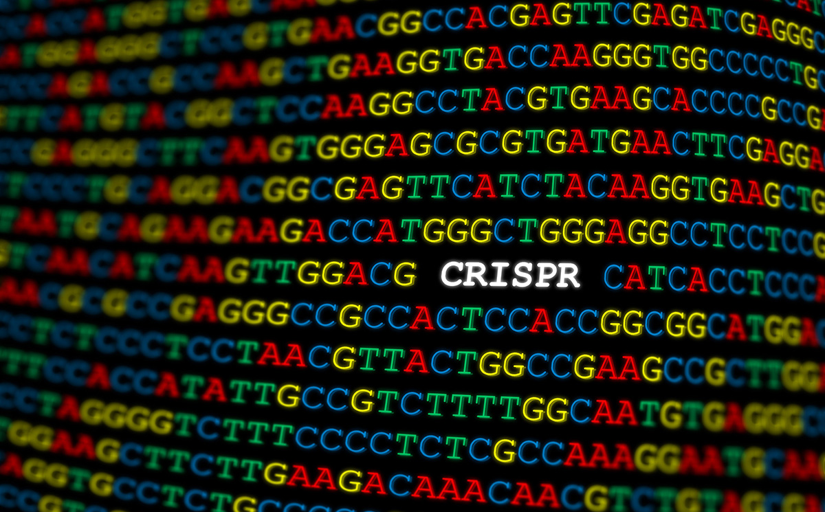 Des députés écolos allemands encouragent CRISPR et le génie génétique en agriculture