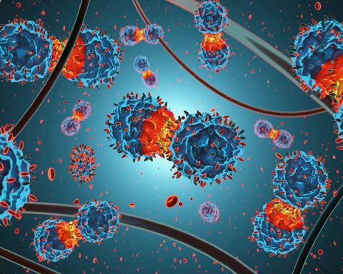 Faut-il craindre une mutation du coronavirus ?