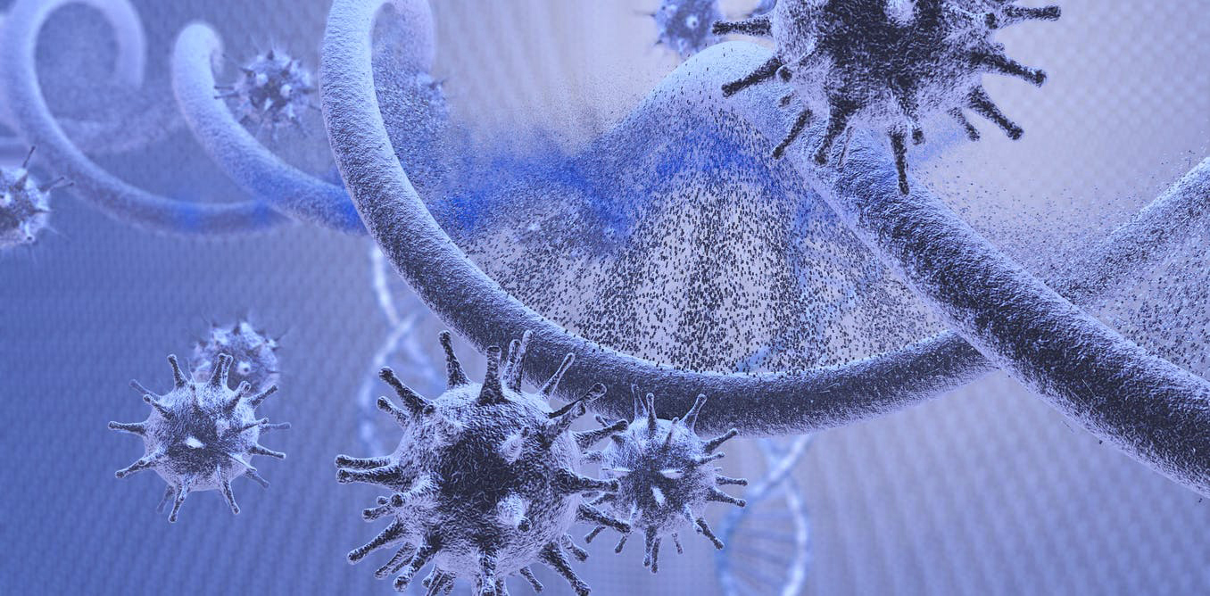Covid-19 : Découverte d’un gène mystérieusement caché dans le virus