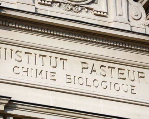 Vaccins : Pasteur jette l’éponge