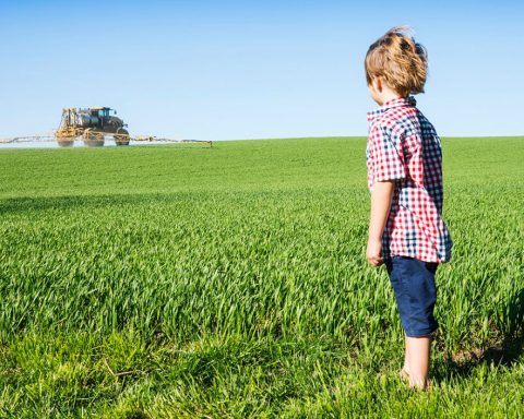 Un tiers des terres agricoles sont polluées par les pesticides qui enrichissent les géants de l’agrochimie