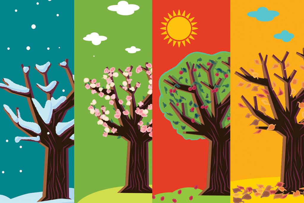 Y’a plus de saisons ma bonne dame !