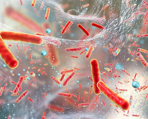 Des nanoparticules pour venir à bout des bactéries résistantes aux antibiotiques
