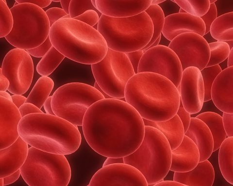 COVID-19 modifie durablement les cellules sanguines, ce qui pourrait expliquer beaucoup de choses