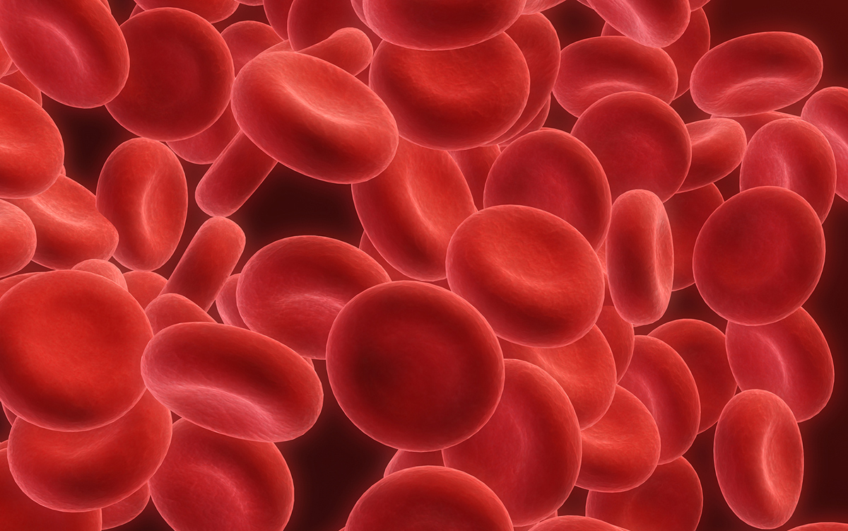 COVID-19 modifie durablement les cellules sanguines, ce qui pourrait expliquer beaucoup de choses
