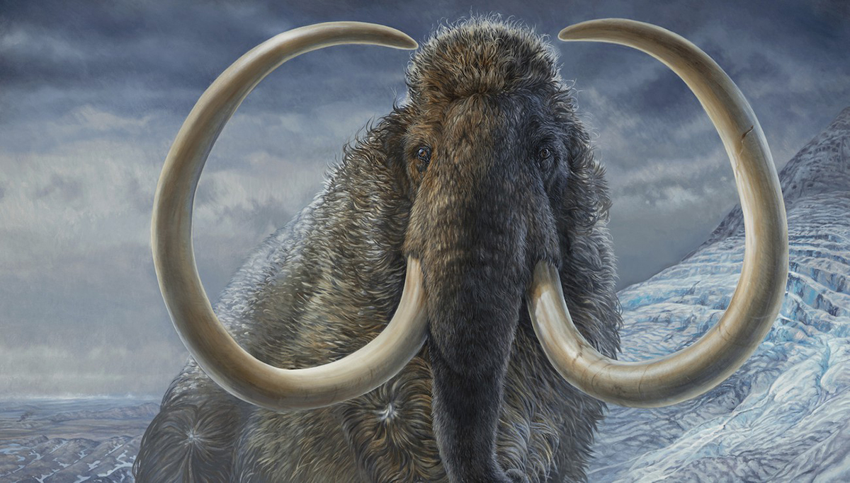 Mammoths are back, and why not dinosaurs?