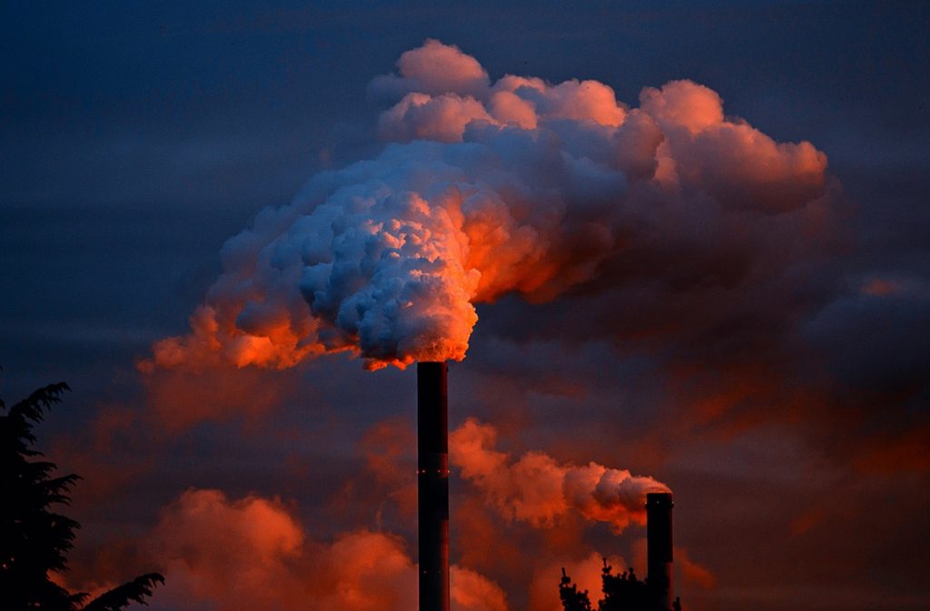 La vraie cause du dérèglement de la planète nous crève les yeux