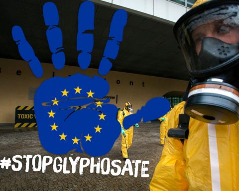Glyphosate : une évaluation européenne biaisée au profit des industriels de l’agrochimie