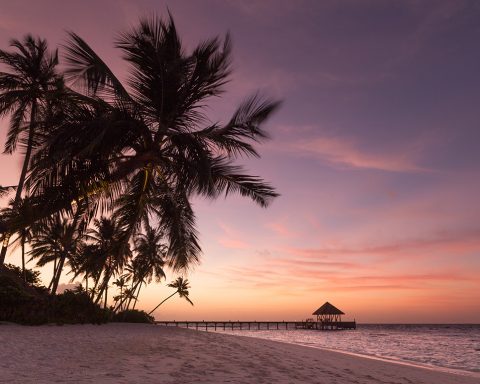 Maldives, Seychelles, Maurice, La Réunion… Des paradis en danger climatique immédiat