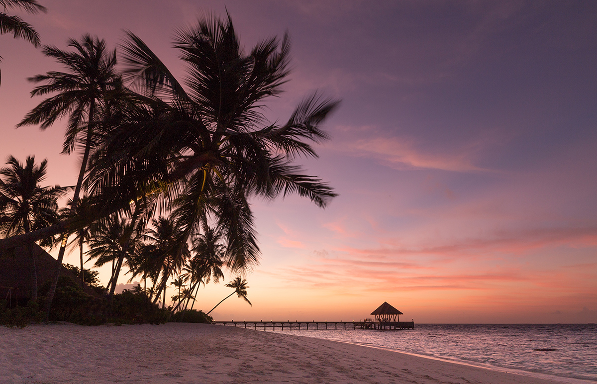 Maldives, Seychelles, Maurice, La Réunion… Des paradis en danger climatique immédiat