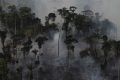 Des défoliants chimiques déversés sur l’Amazonie pour accélérer la déforestation
