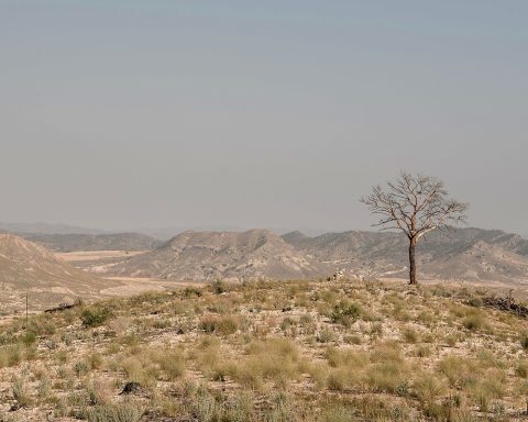 La région méditerranéenne se transforme en désert plus vite qu’ailleurs