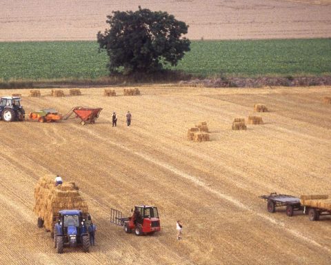 Malgré les pénuries à venir, l’agriculture européenne entend résister à la logique productiviste