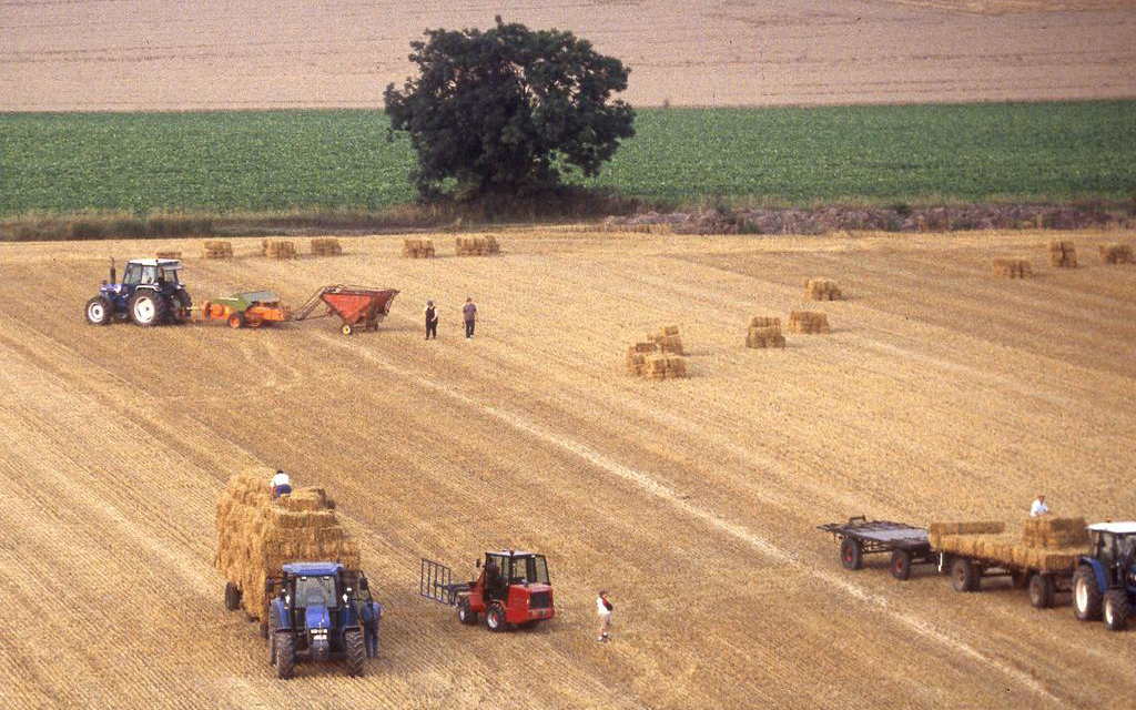 Malgré les pénuries à venir, l’agriculture européenne entend résister à la logique productiviste
