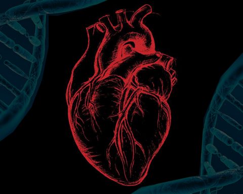 CRISPR corrects a cholesterol gene to eradicate heart attacks