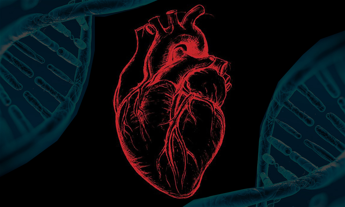 CRISPR corrects a cholesterol gene to eradicate heart attacks