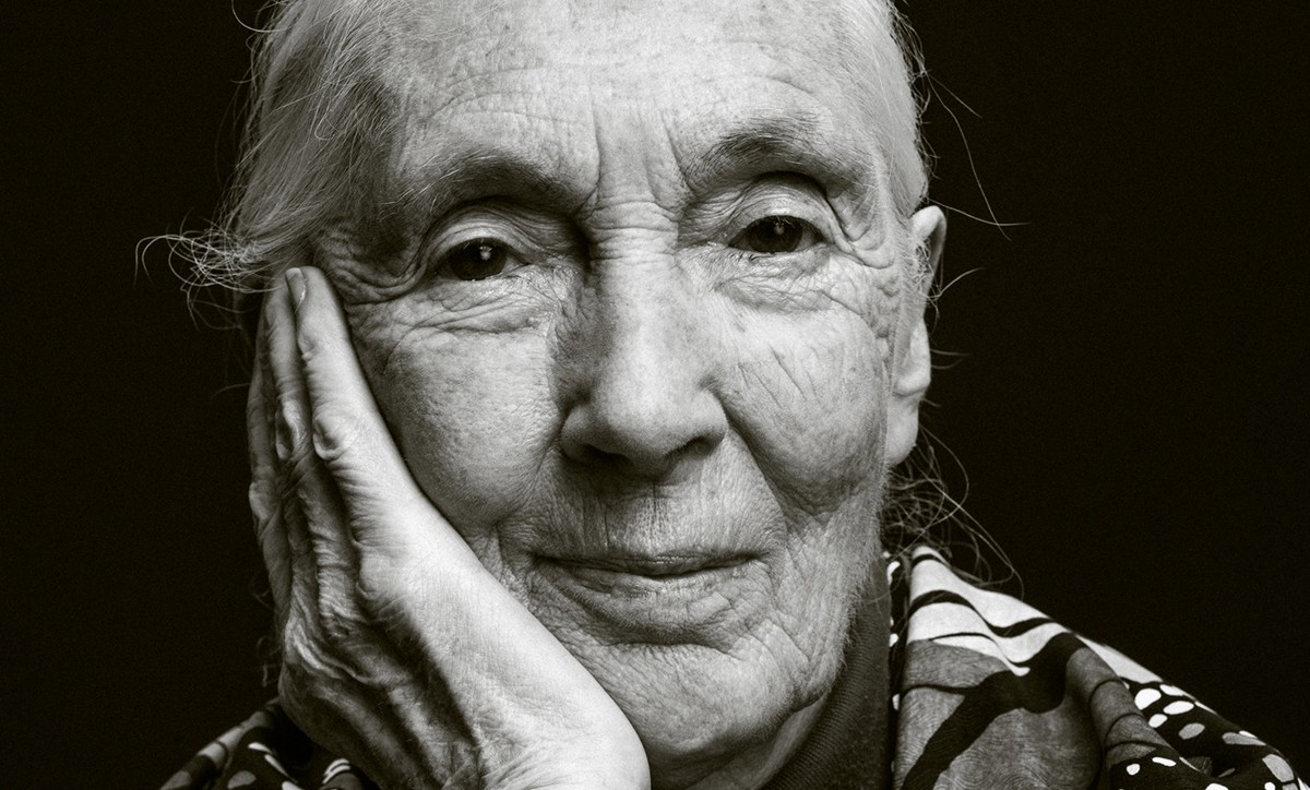 Jane Goodall : La pensée à court terme nous approche du "point de non-retour"