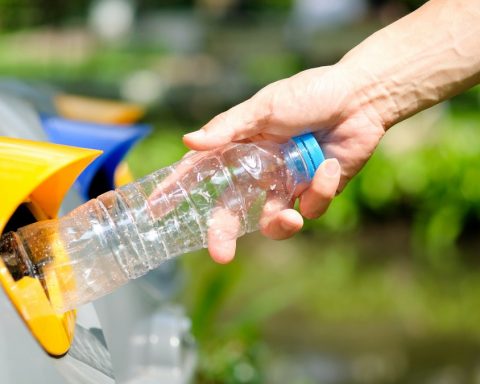 78 % des bouteilles d'eau minérale contiennent des microparticules de  plastique