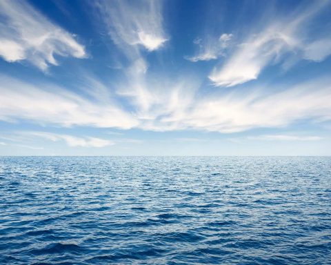 Ce qu'il faut savoir sur l'important traité sur les océans qui vient d'être finalisé par 193 nations