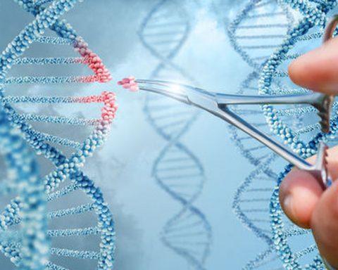 Modification du génome humain : où en sommes-nous ?