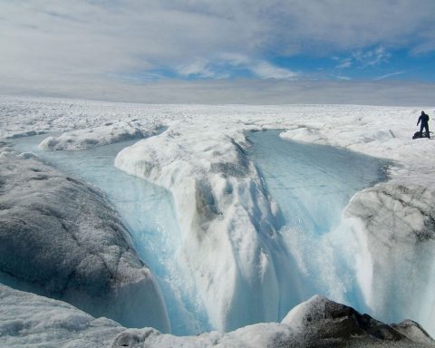 Le réchauffement des océans fait fondre les glaciers, ce qui fait monter le niveau de la mer et fait fondre davantage les glaciers… etc.