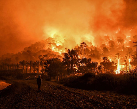 Incendies en Méditerranée : des leçons - et des alertes - pour l'Europe