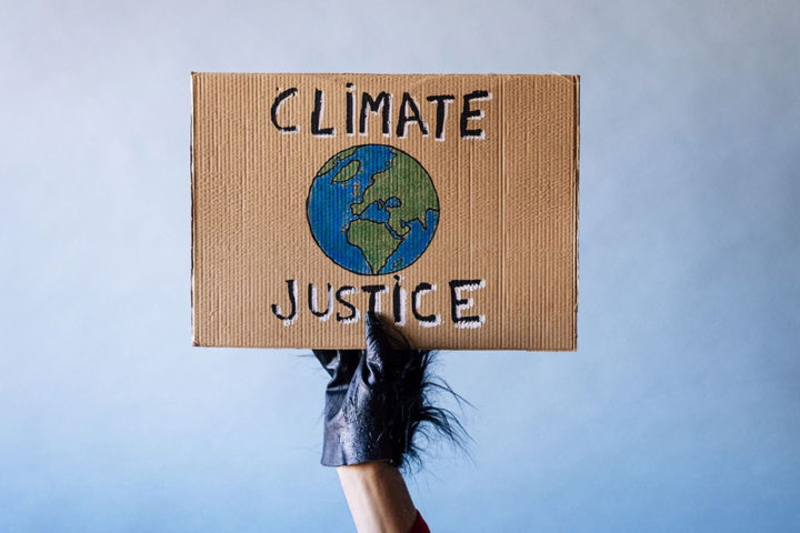 L'inaction climatique des États devant la justice européenne