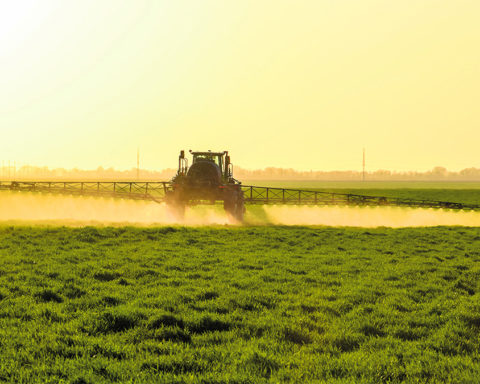 New evidence of the carcinogenicity of glyphosate, reauthorized by the European Union