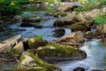 « Qualité Rivière » : le compagnon numérique pour explorer les rivières de France