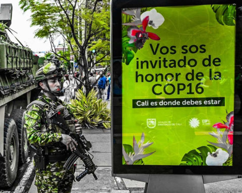 La Colombie accueille la COP16 : la dernière chance pour la biodiversité ?