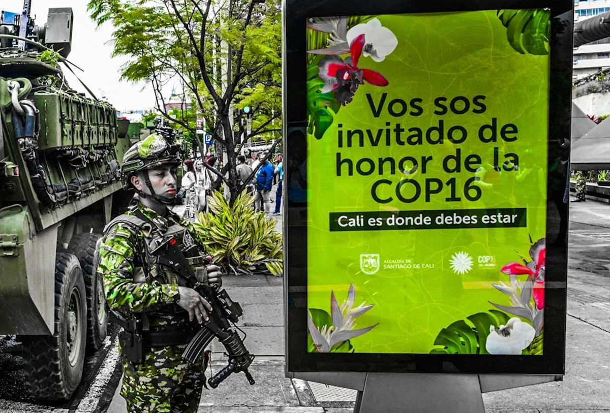 La Colombie accueille la COP16 : la dernière chance pour la biodiversité ?