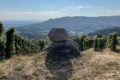 Village d’Ardèche en résistance : halte à la dévastation écologique !