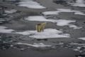 Les opportunités de faire face aux changements climatiques : atteint-on un point de non-retour ?