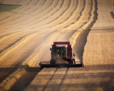 La France mise sur le productivisme agricole : une nouvelle doctrine de souveraineté alimentaire