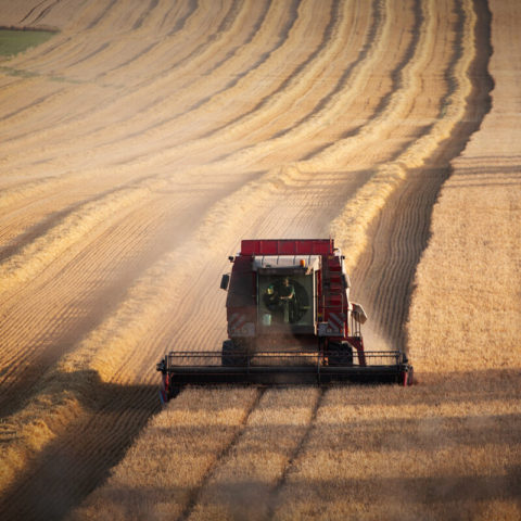 La France mise sur le productivisme agricole : une nouvelle doctrine de souveraineté alimentaire