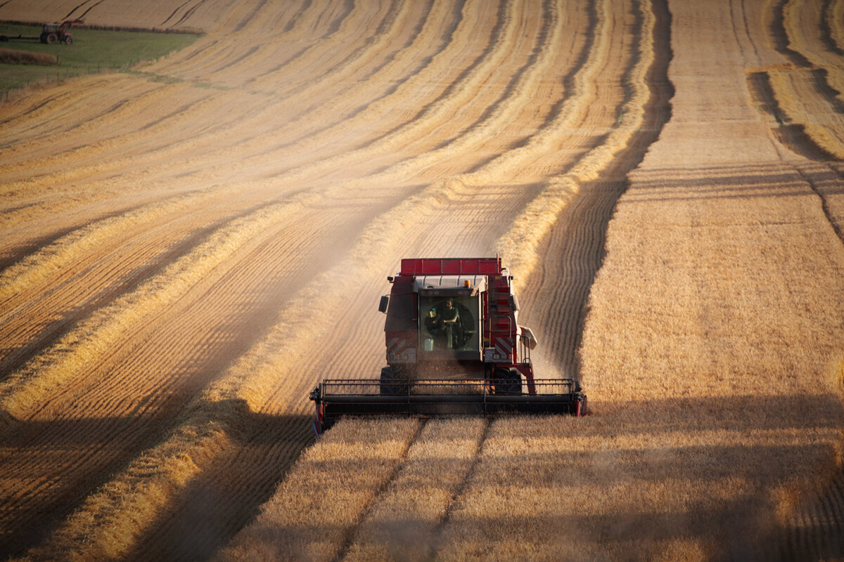 La France mise sur le productivisme agricole : une nouvelle doctrine de souveraineté alimentaire