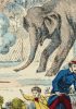 L&rsquo;année terrible des animaux