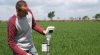 Agriculture et IA : AgroParisTech et Télécom Paris inventent une nouvelle génération d’ingénieurs