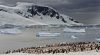 Antarctique : dix ans d&rsquo;immobilisme pour protéger l&rsquo;un des océans les plus précieux de la planète