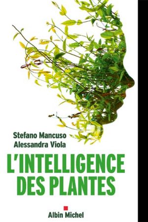 intelligence des plantes