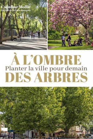 livre-ombre-arbres